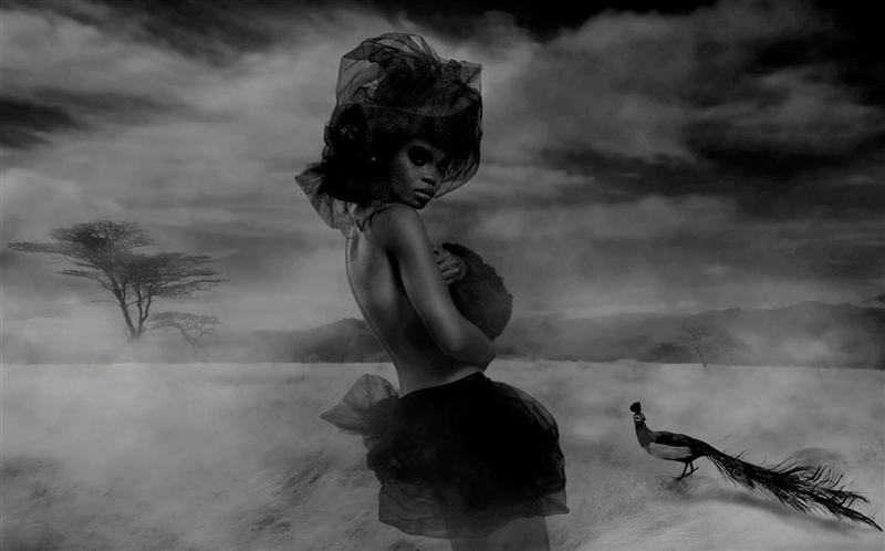Best New York Fashion Photographer Shaun Alexander Best New York Fashion Photographer Shaun Alexander